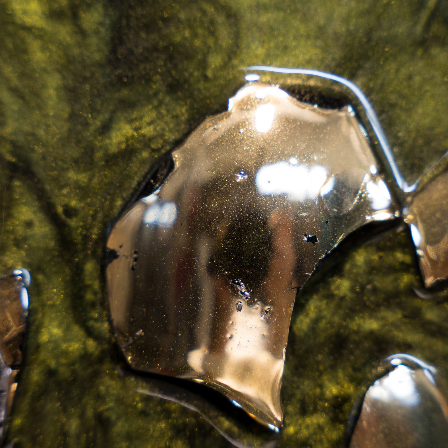 Cornice Moderna in Foglia Oro Dollari Pop Art Mosaic con champagne Armand de Brignac